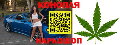 apvp Тулун