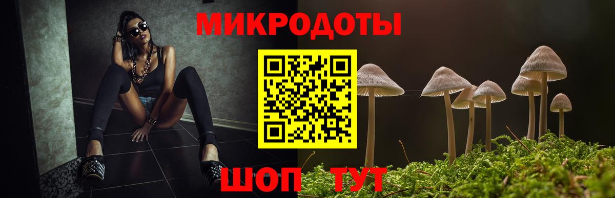 Новодвинск  Псилоцибиновые грибы Cubensis  Вход с VPN 